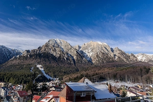 Vila Alexandros Bușteni   Munte,7 Camere, Living Mare, 15 Persoane, Reduceri Primăvară - imagine 2