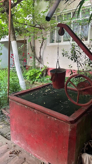 Casa mare și frumoasă, cu grădină și pomi fructiferi, in satul Pescari, jud. Arad - imagine 10