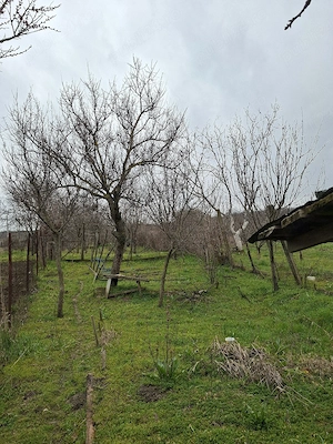 Vânzare casă - imagine 6