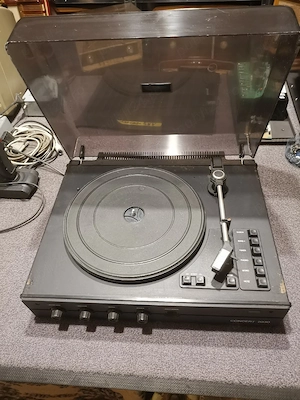 Picup vintage Concert 2030