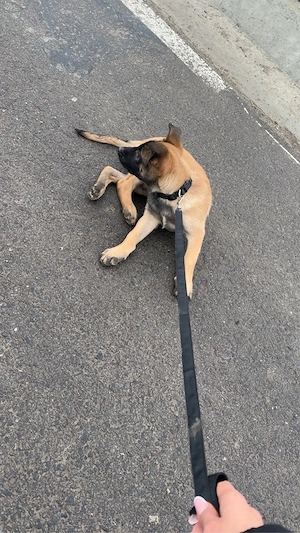 vaccinat ! - imagine 2