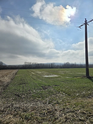 Vand teren extravilan - imagine 2