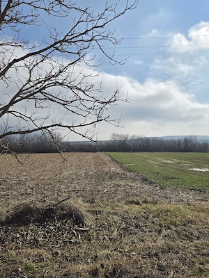 Vand teren extravilan - imagine 3