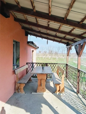 5 Camere - la 15 km de Arad - imagine 12