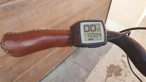 Bicicletă Asisrată electric Rice& Muller  