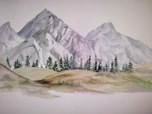 Teren Rogojel Sacuieu