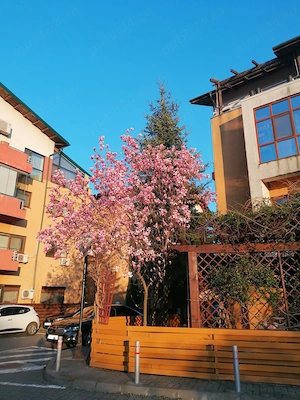 Apartament 3 camere in Otopeni, aproape de centru, curte proprie