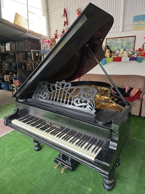 Pian cu coada medie Ed.Seiler original