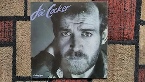 Vand discuri vinil (LP)