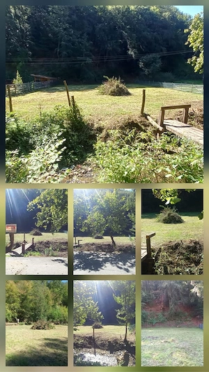 Vand teren extravilan,1000 m sat Groș,jud hunedoara