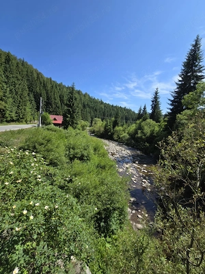 Teren In Arieseni - imagine 5