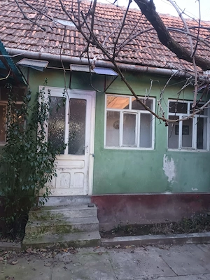 Casa de vanzare in comuna Chisindia, jud. Arad - imagine 4