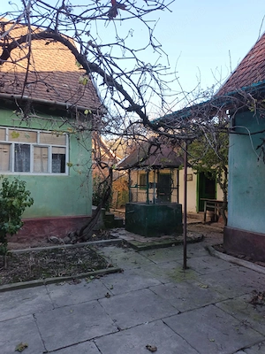 Casa de vanzare in comuna Chisindia, jud. Arad - imagine 5