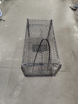 capcana pisici caini vulpi