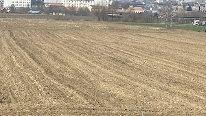 Teren extravilan de vânzare | 2976 mp | Ciugud (județul Alba)