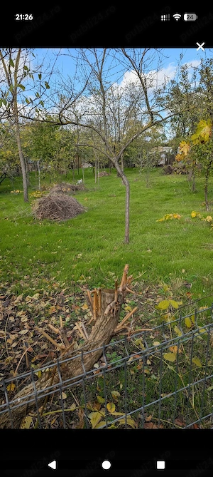 Casa de vanzare Rosiori de vede Teleorman - imagine 5