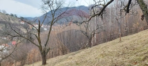 Teren de vânzare – Brașov, zona Dupa Iniste, 2710 mp - imagine 10