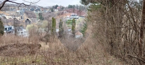 Teren de vânzare – Brașov, zona Dupa Iniste, 2710 mp - imagine 13
