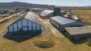 Hale industriale de închiriat în Tg Neamț - imagine 5