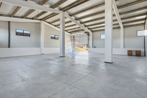 Hale industriale de închiriat în Tg Neamț - imagine 12