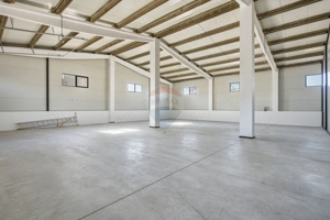 Hale industriale de închiriat în Tg Neamț - imagine 8