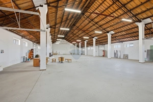 Hale industriale de închiriat în Tg Neamț - imagine 16