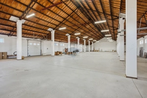 Hale industriale de închiriat în Tg Neamț - imagine 15