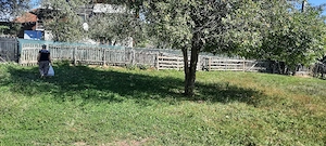 teren de vanzare - imagine 3