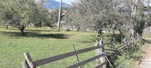 teren de vanzare - imagine 5