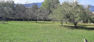 teren de vanzare - imagine 2