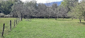 teren de vanzare - imagine 4