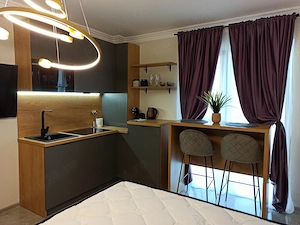 Garsoniera zona Coresi proprietar 