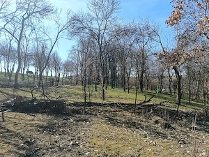 Casa și teren de vânzare  - imagine 10