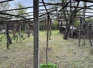 Vând teren Roșiuța