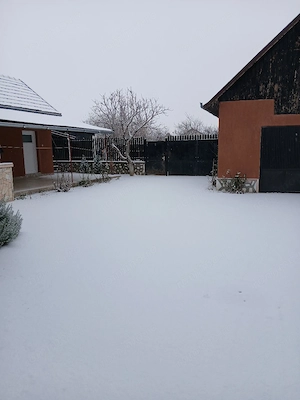 Casă de vânzare P+M, Ineu, județul Arad  - imagine 2