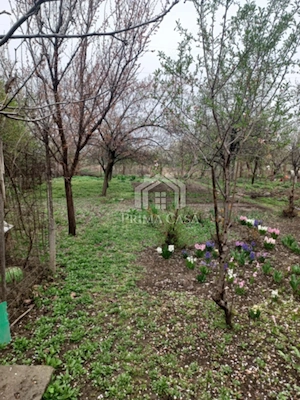 Casa zona Dorobanti   teren 500mp   toate utilitatile   COMISION 0   Pret: 58.000  neg - imagine 10