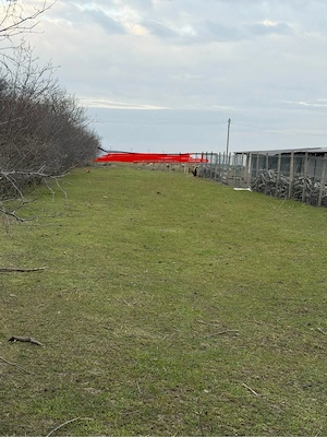 casa de vanzare 5000 mp - imagine 3