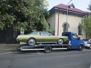 platforma transport auto - imagine 3
