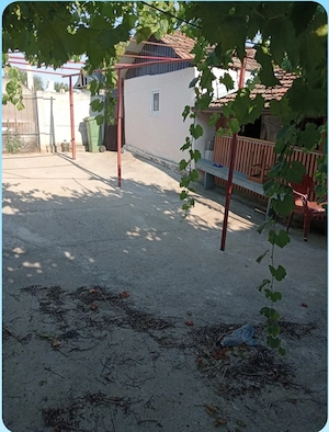 Casă de vânzare în comuna Livezile