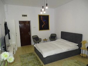 Inchiriez garsoniera langa Afi cu centrala dispo imediat PET friendly