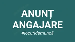 Reprezentant vanzari _limba maghiara Arad si Bihor - imagine 2