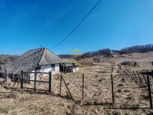 Vand teren intravilan Stejaru Bacau - imagine 2