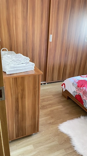 Inchiriez apartament cu 2 camere, B-dul Traian - imagine 2