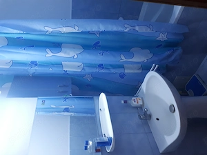 Aparatament 1 camera zona Buzăului - imagine 5