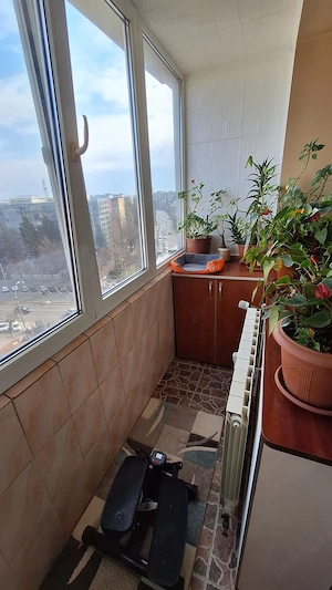 3 cam Brâncoveanu  - imagine 2