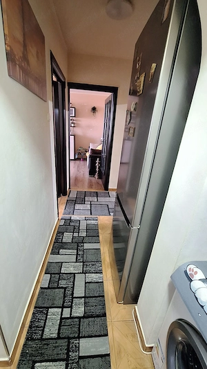 3 cam Brâncoveanu  - imagine 9