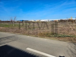 Teren intravilan, 602 mp, fs 24 ml, Dumbravita - imagine 2