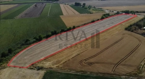 Teren intravilan 20.000 mp, front 52 ml, Sag - imagine 6