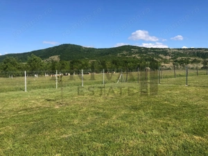 Teren intravilan casa de vacanță, 800, 2 fs, Surduc - imagine 2