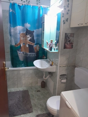 Apartament de Inchiriat Calea Dorobantilor Acces Gheorgheni - imagine 5